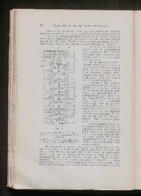 Vorschaubild von [[Lehrbuch der vergleichenden Anatomie]]