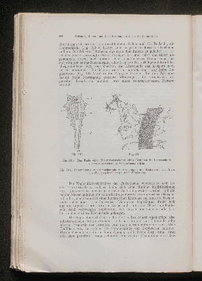 Vorschaubild von [[Lehrbuch der vergleichenden Anatomie]]