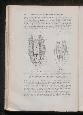 Vorschaubild von [[Lehrbuch der vergleichenden Anatomie]]