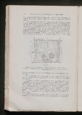 Vorschaubild von [[Lehrbuch der vergleichenden Anatomie]]