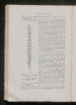 Vorschaubild von [[Lehrbuch der vergleichenden Anatomie]]