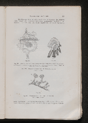 Vorschaubild von [[Lehrbuch der vergleichenden Anatomie]]