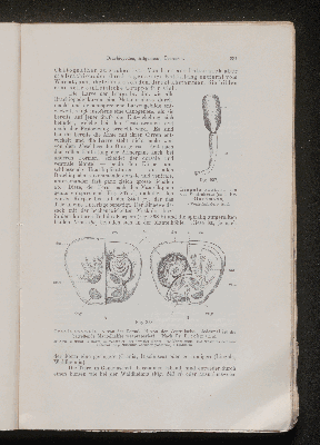 Vorschaubild von [[Lehrbuch der vergleichenden Anatomie]]