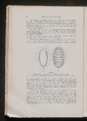 Vorschaubild von [[Lehrbuch der vergleichenden Anatomie]]