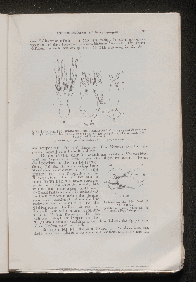 Vorschaubild von [[Lehrbuch der vergleichenden Anatomie]]