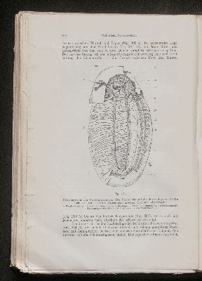 Vorschaubild von [[Lehrbuch der vergleichenden Anatomie]]