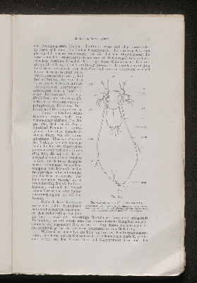 Vorschaubild von [[Lehrbuch der vergleichenden Anatomie]]