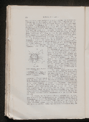 Vorschaubild von [[Lehrbuch der vergleichenden Anatomie]]