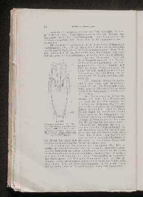 Vorschaubild von [[Lehrbuch der vergleichenden Anatomie]]