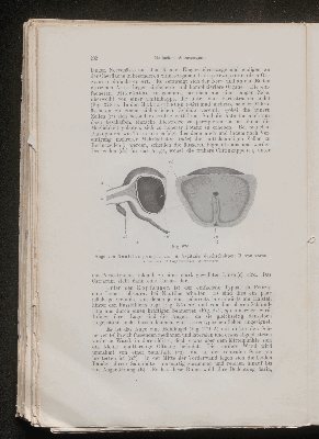 Vorschaubild von [[Lehrbuch der vergleichenden Anatomie]]