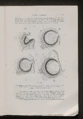 Vorschaubild von [[Lehrbuch der vergleichenden Anatomie]]