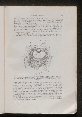 Vorschaubild von [[Lehrbuch der vergleichenden Anatomie]]