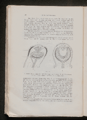 Vorschaubild von [[Lehrbuch der vergleichenden Anatomie]]