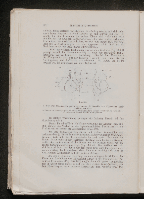 Vorschaubild von [[Lehrbuch der vergleichenden Anatomie]]