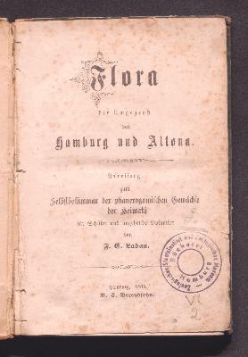 Vorschaubild von Flora der Umgegend von Hamburg und Altona
