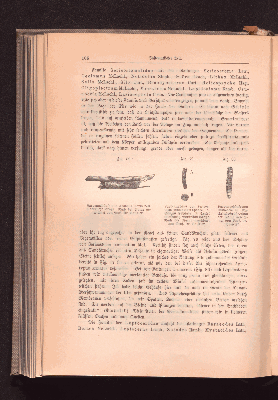 Vorschaubild Seite 186