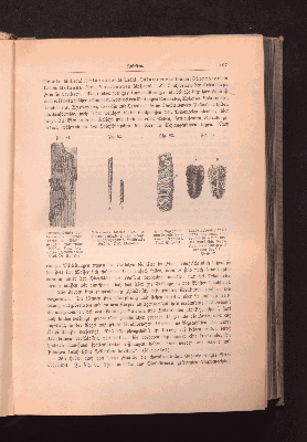 Vorschaubild Seite 187