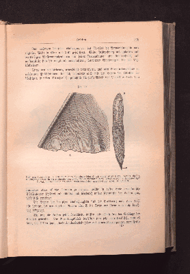 Vorschaubild Seite 195