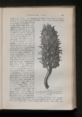 Vorschaubild Seite 325