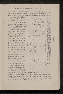 Vorschaubild Seite 25