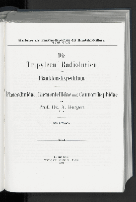 Vorschaubild von Phaeodinidae, Caementellidae und Cannorrhaphidae