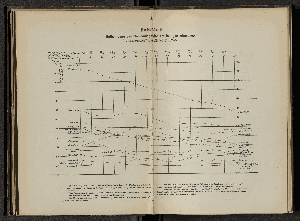 Vorschaubild von [[Kirchlich-statistische Zusammenstellungen über die christlichen Stadt- und Land-Gemeinden Hamburgs]]