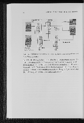 Vorschaubild Seite 120