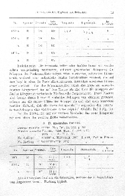 Vorschaubild von 3. D. anomalus Peters.