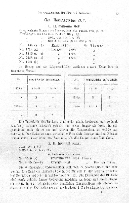 Vorschaubild von 1. H. mabouia Mor.