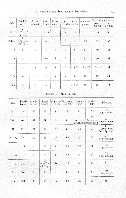 Vorschaubild von 2. A. riisii Reinh. u. Lütk. (Tafel II. Fig. 7, 9)