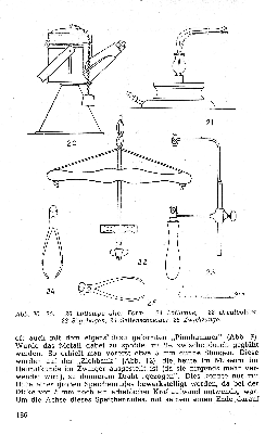 Vorschaubild Seite 186