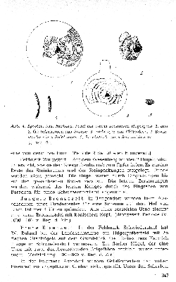 Vorschaubild Seite 347