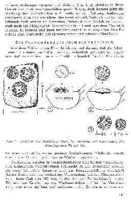 Vorschaubild Seite 145