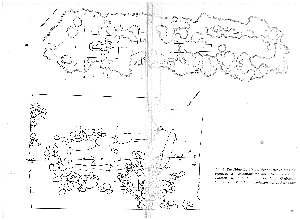 Vorschaubild Seite 169