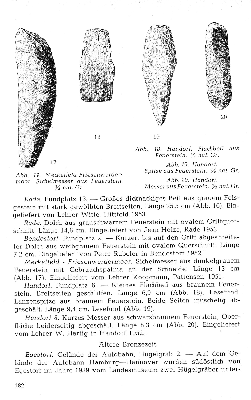 Vorschaubild Seite 182