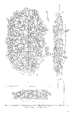 Vorschaubild Seite 183