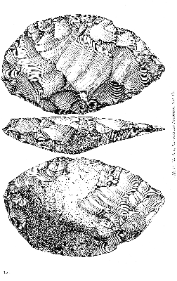 Vorschaubild Seite 154