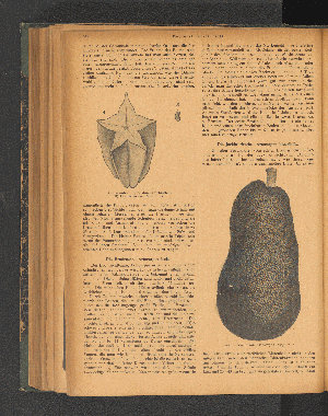 Vorschaubild Seite 568