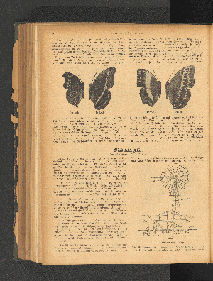 Vorschaubild Seite 696