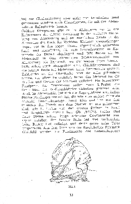 Vorschaubild Seite 13