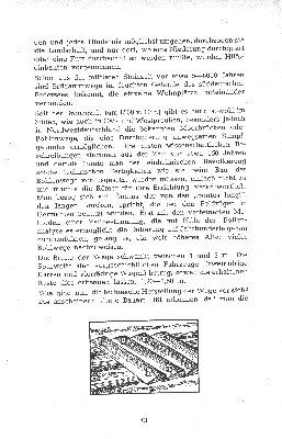Vorschaubild Seite 43