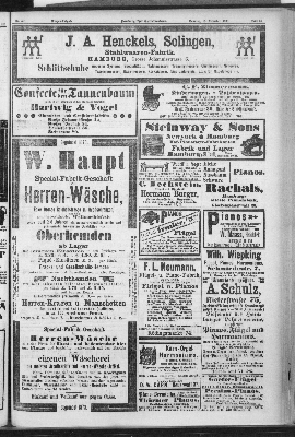 Vorschaubild Seite 31