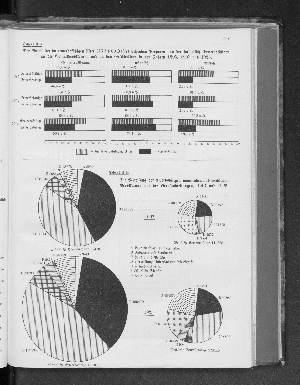 Vorschaubild Seite 195