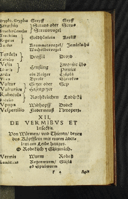 Vorschaubild von XII. De Vermibvs et Insectis.