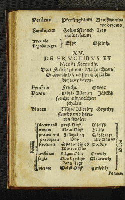 Vorschaubild von XV. De Frvctibvs et Mensis Secundis.