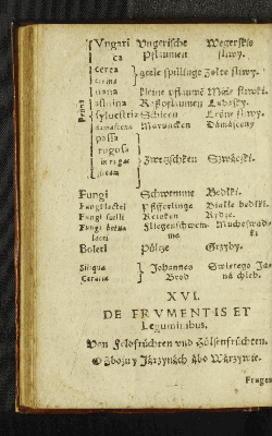 Vorschaubild von XVI. De Frvmentis et Leguminibus.