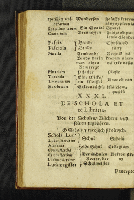 Vorschaubild von XXXI. De Schola Et re Libraria.