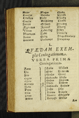 Vorschaubild von L. Qvaedam Exempla Coniugationum.