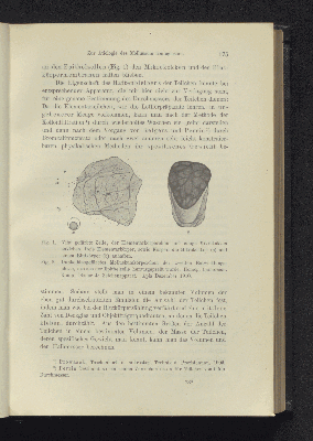 Vorschaubild Seite 175