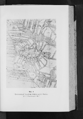 Vorschaubild von Abb. 4. Weiträumiges Angerdorf Eichede südlich Oldesloe (1773, Staatsarchiv Kiel)